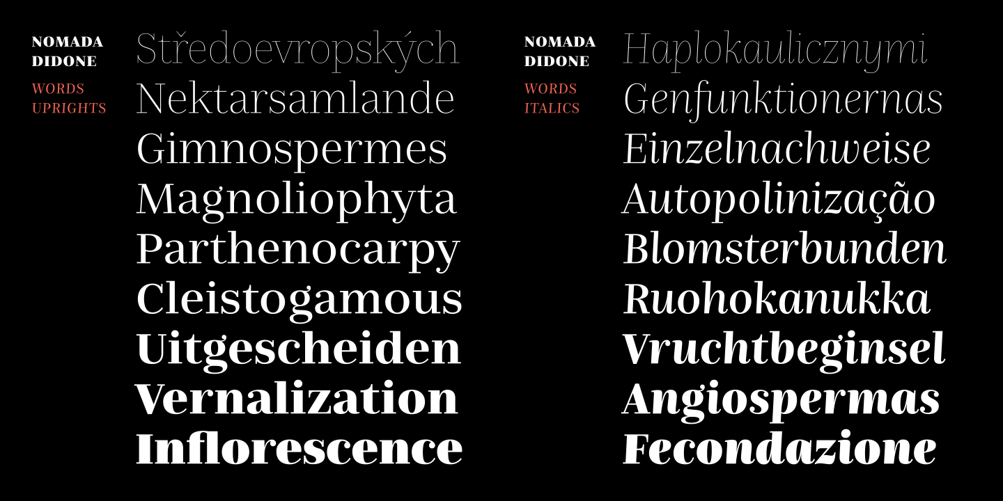 Пример шрифта Nomada Didone Black Italic